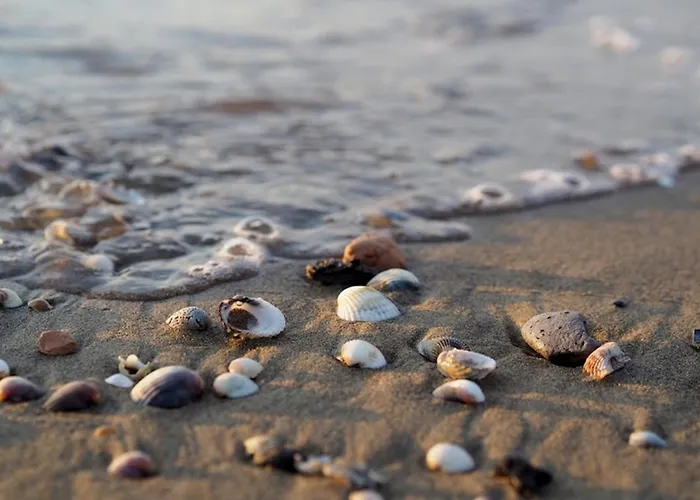 Apartament Spacious With Sea View - Beahost