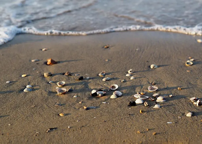 Spacious With Sea View - Beahost Lejlighed *